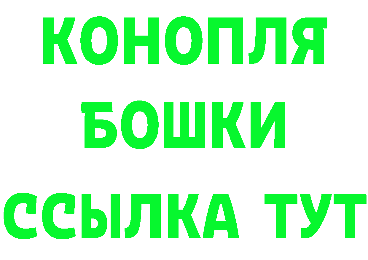 Псилоцибиновые грибы Cubensis как войти площадка мега Безенчук